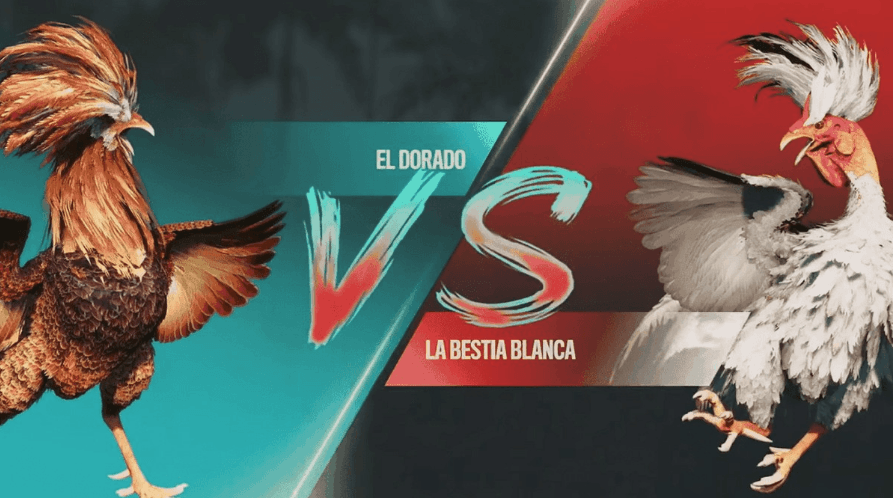 888wwin Plataforma para Slots